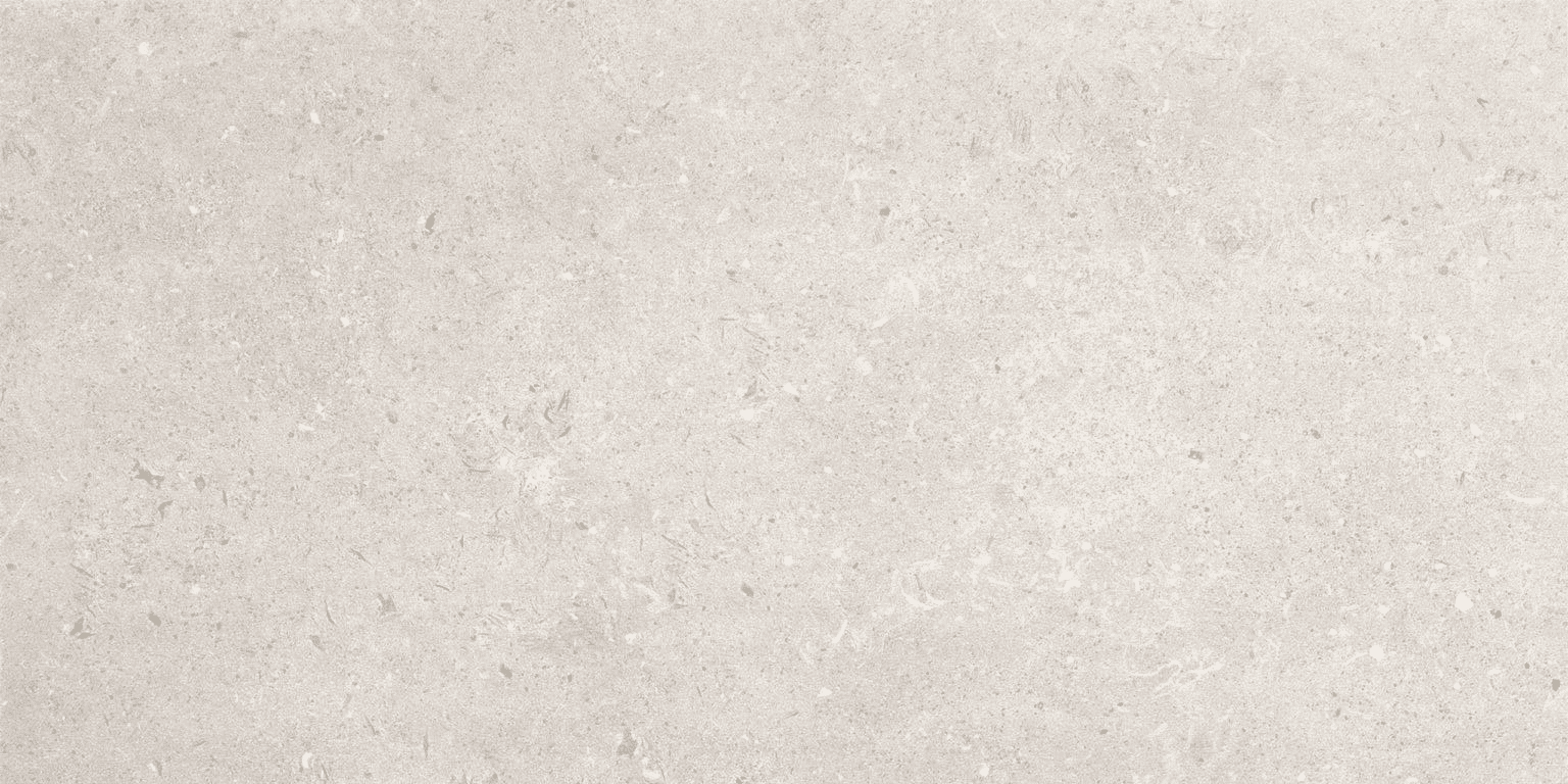 BEREN LIGHT GREY NATURALE 60X120