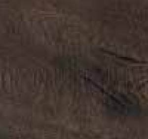 VERO QUERCIA NATURALE 20X120