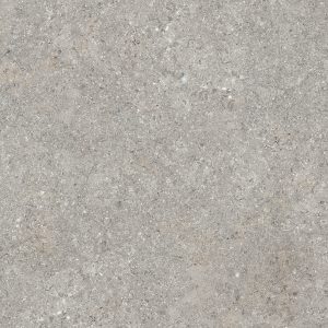 BARSOOM TAUPE NATURALE 60X120