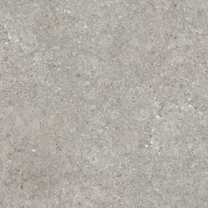 BARSOOM TAUPE NATURALE 60X120