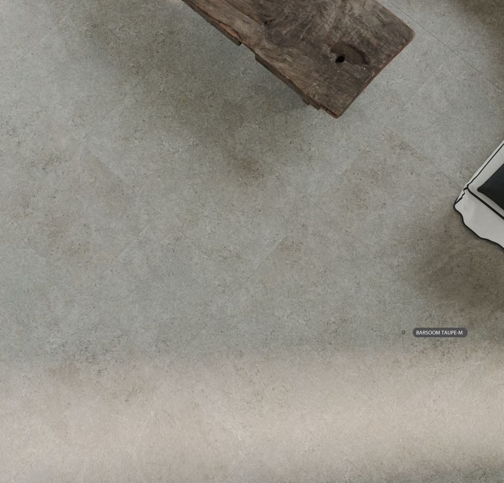 BARSOOM TAUPE NATURALE 60X120 – 220 Taps n Tiles