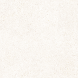 BARSOOM WHITE NATURALE 60X120