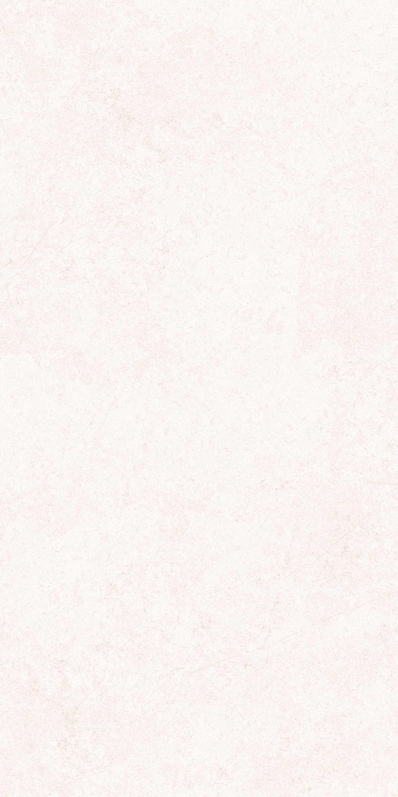 BARSOOM WHITE NATURALE 60X120 - Image 2