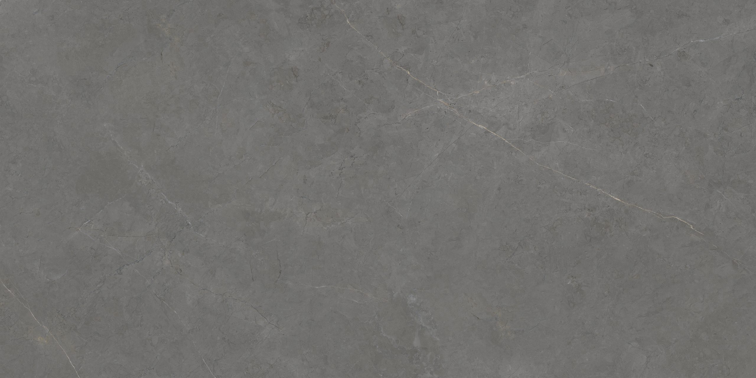 Parma Grigio-V-_01 - Copy