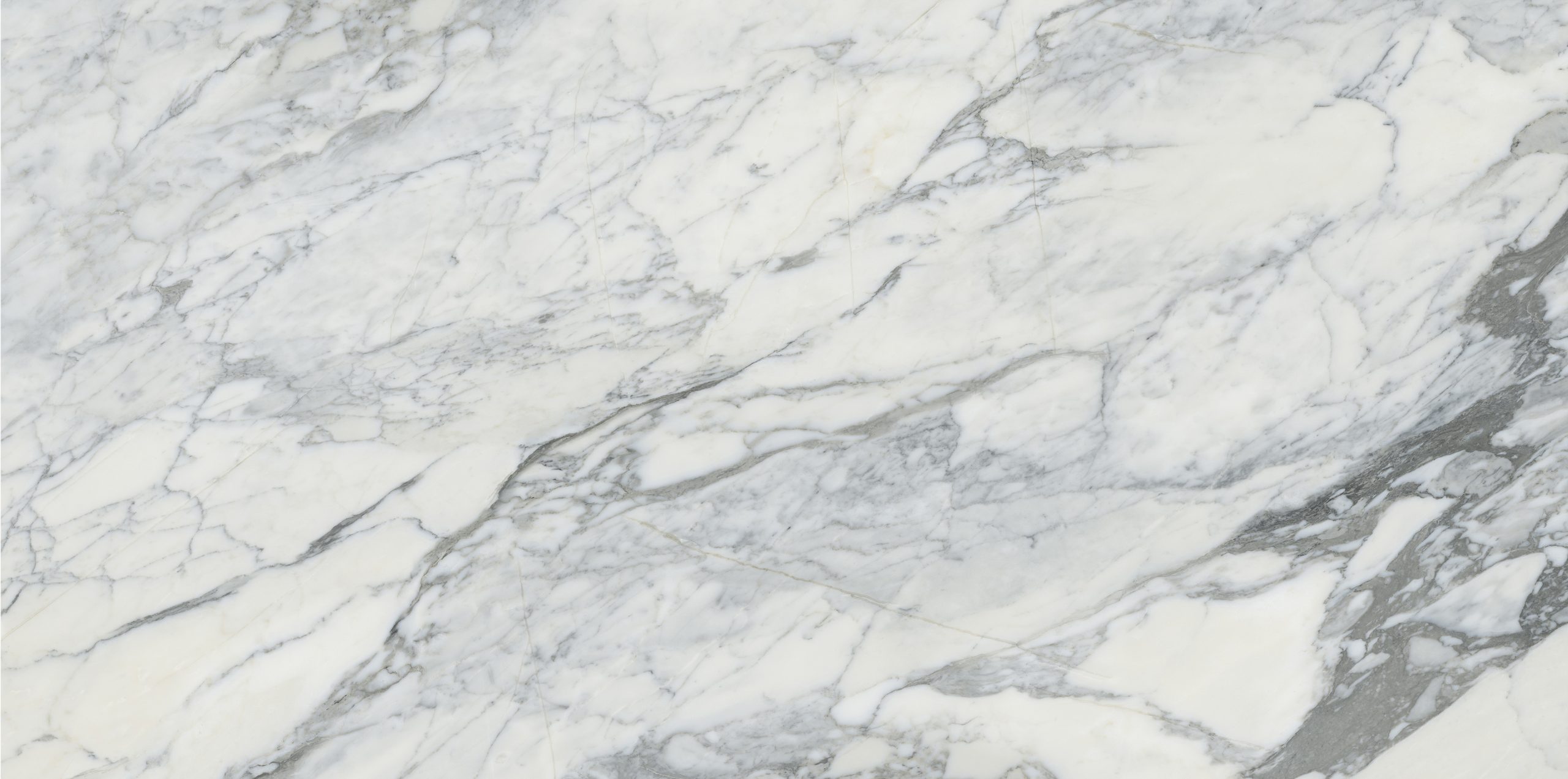 TOP ARABIAN WHITE (2)