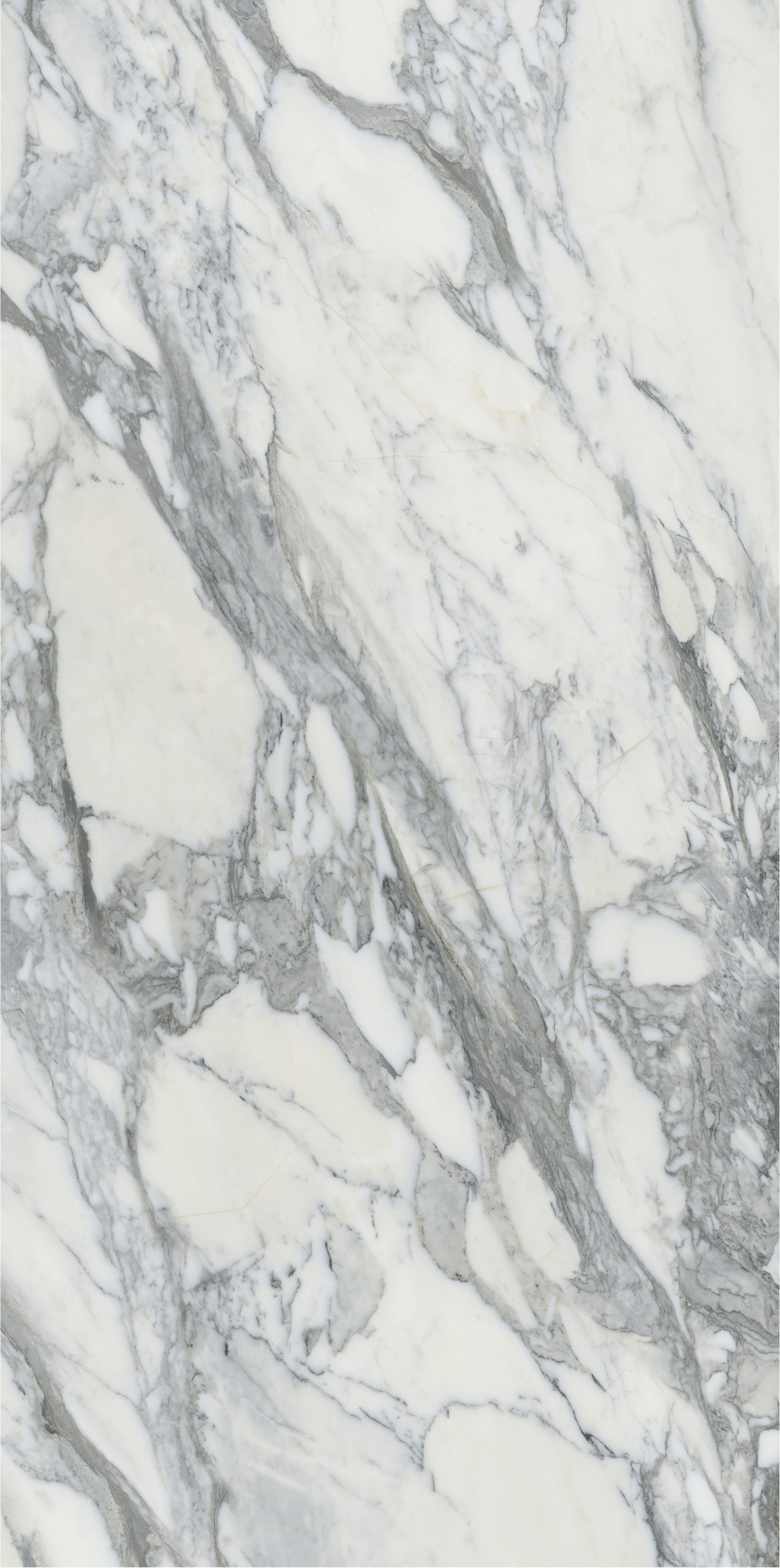 TOP ARABIAN WHITE (3)