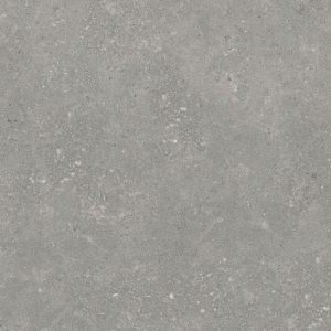 ARMSTRONG TAUPE NATURALE 60X120