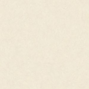 SAANNA POLISHED 3.200X1.600X12MM