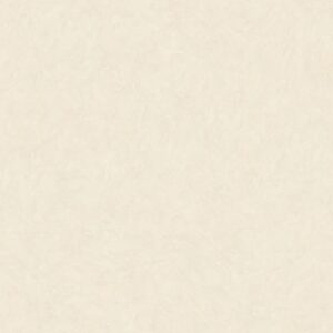 SAANNA POLISHED 3.200X1.600X12MM