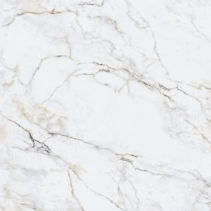 UNION STONE GOLD CALACATTA NATURALE 120X120