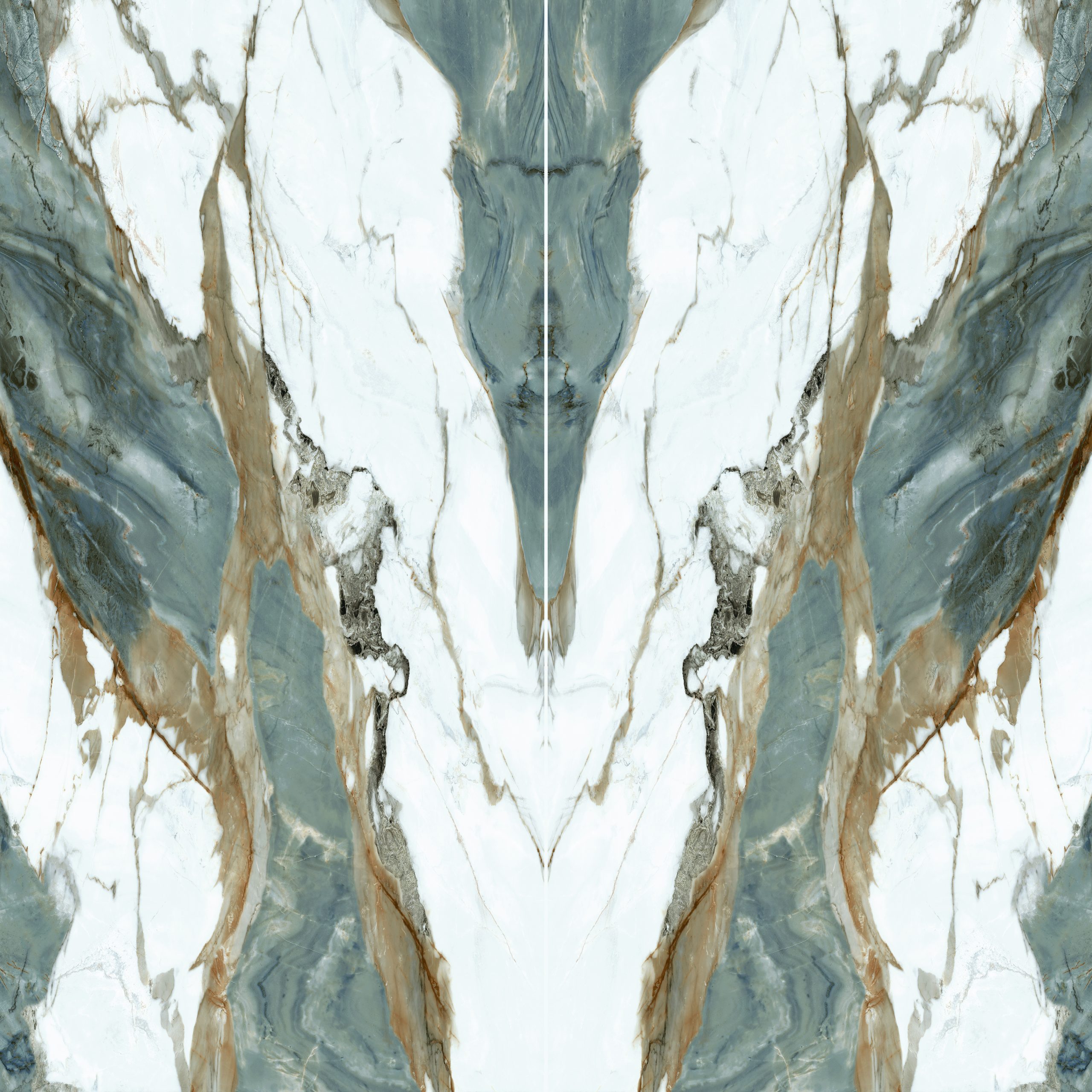 Image_20250108112139