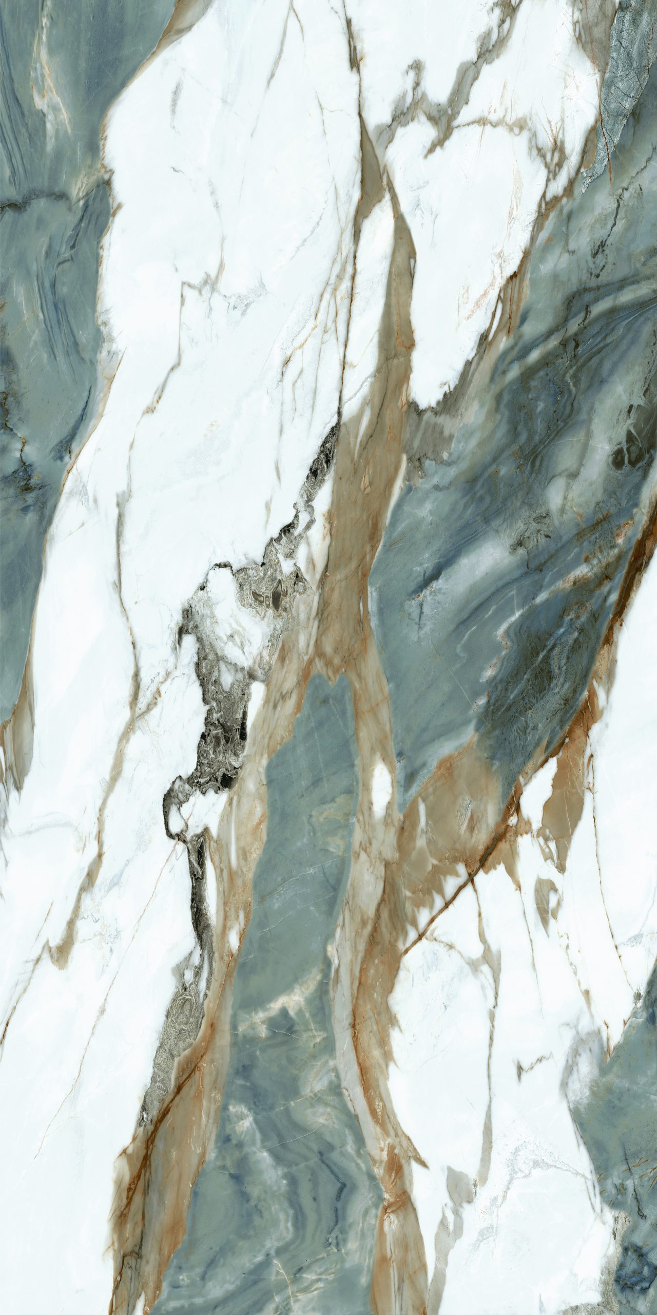 Image_20250108112214