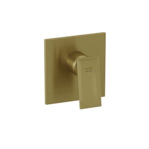DECUS Concealed Shower Mixer