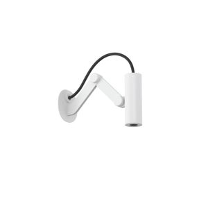 ASANA Tube Flex Head Shower (matt white)