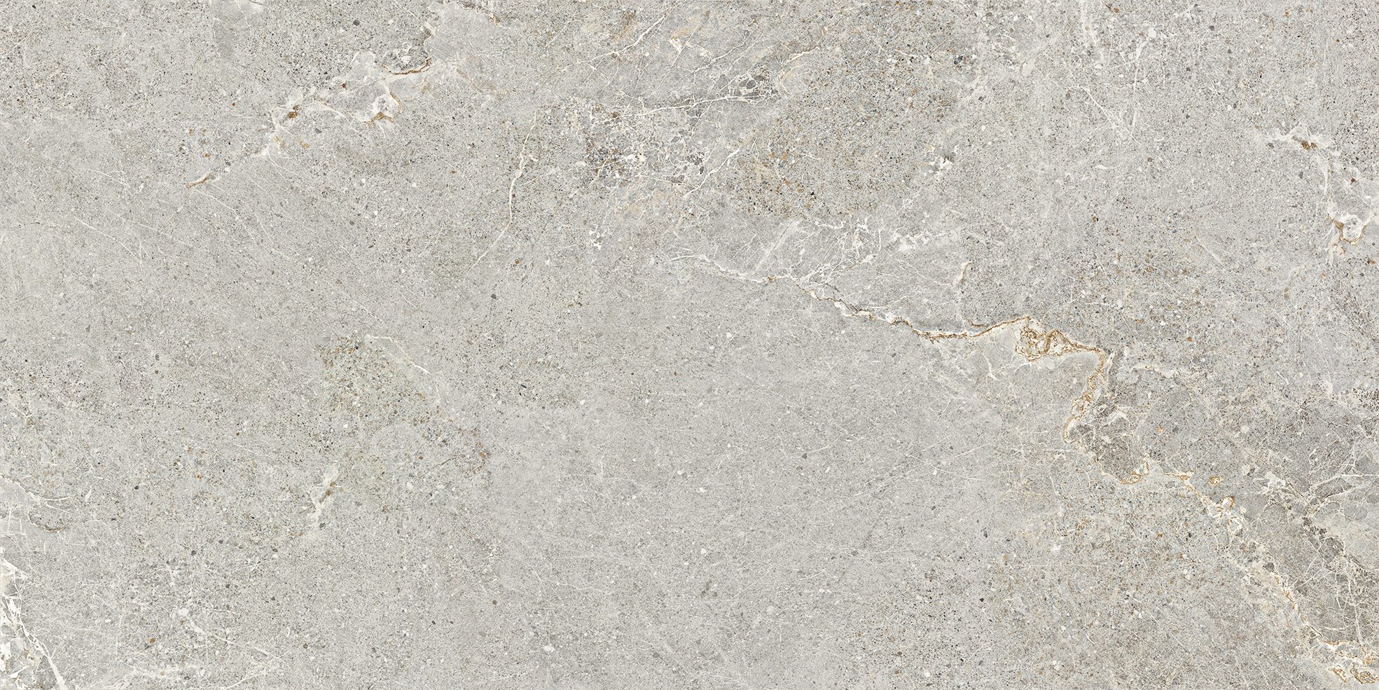 ANTHOLOGY LIGHT GREY NATURALE 60X120