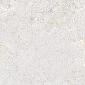 ANTHOLOGY WHITE NATURALE 60X120