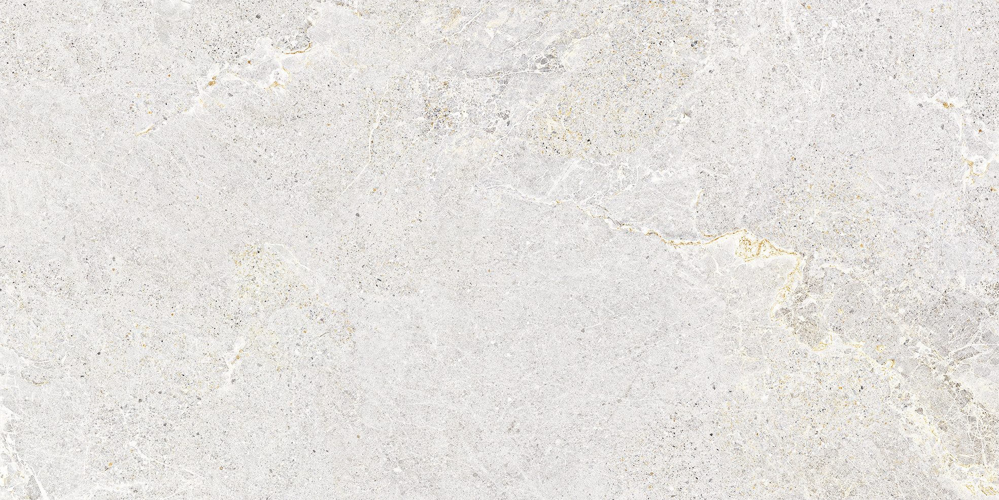 ANTHOLOGY WHITE NATURALE 60X120