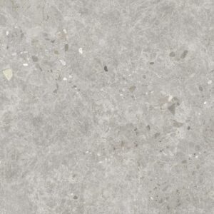 DAWN LIGHT GREY NATURALE 60X120