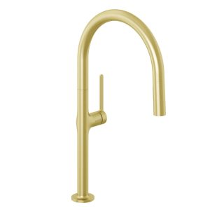 REEF Kitchen Faucet w/pull out spout (brushed gold)