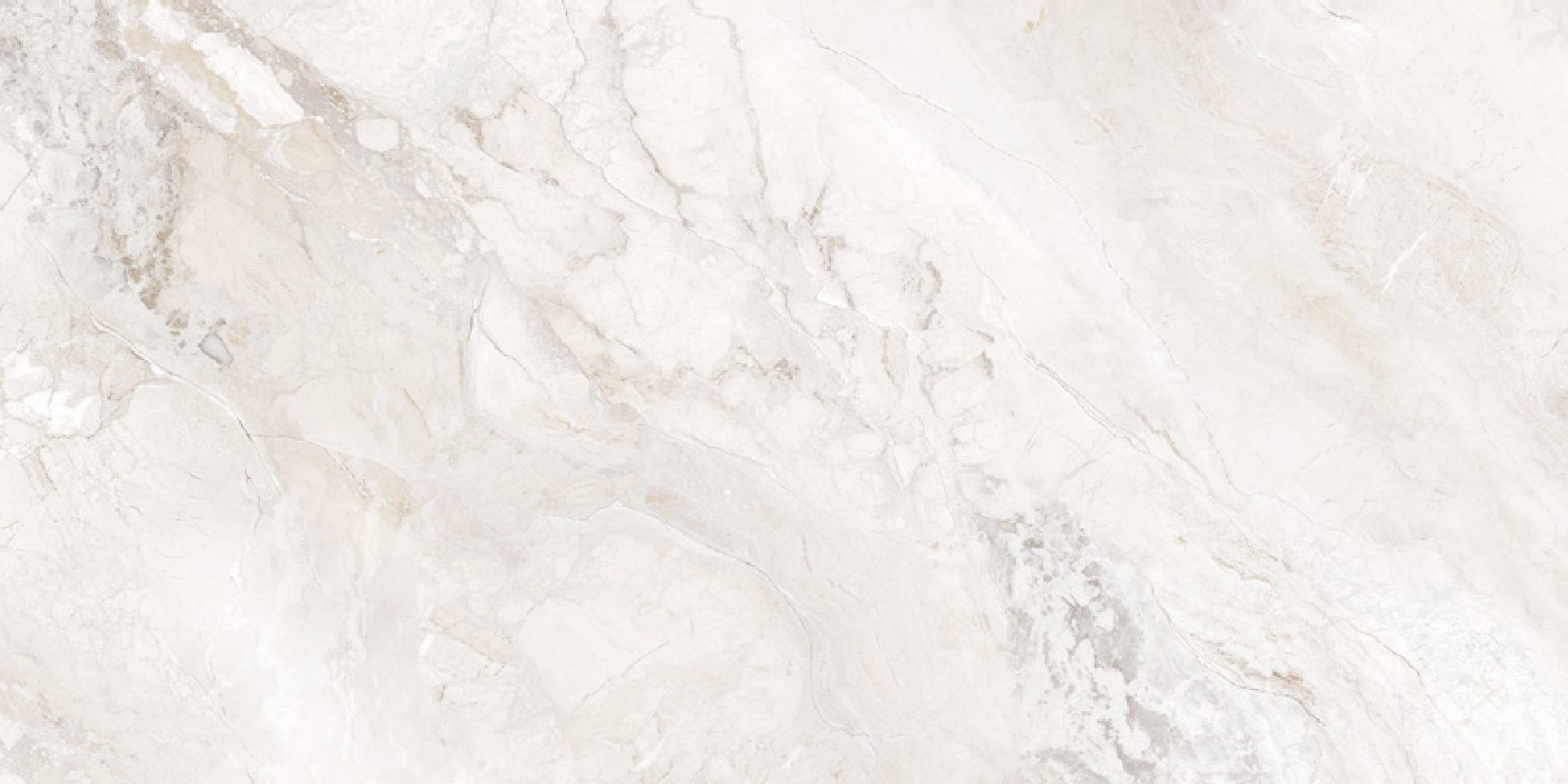 SHANNON SEA SHELL POLISHED 90X180